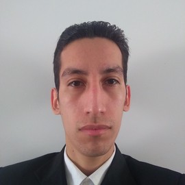 Foto de perfil del integrante / logo de la organización | Profile photo of the member / organization's logo