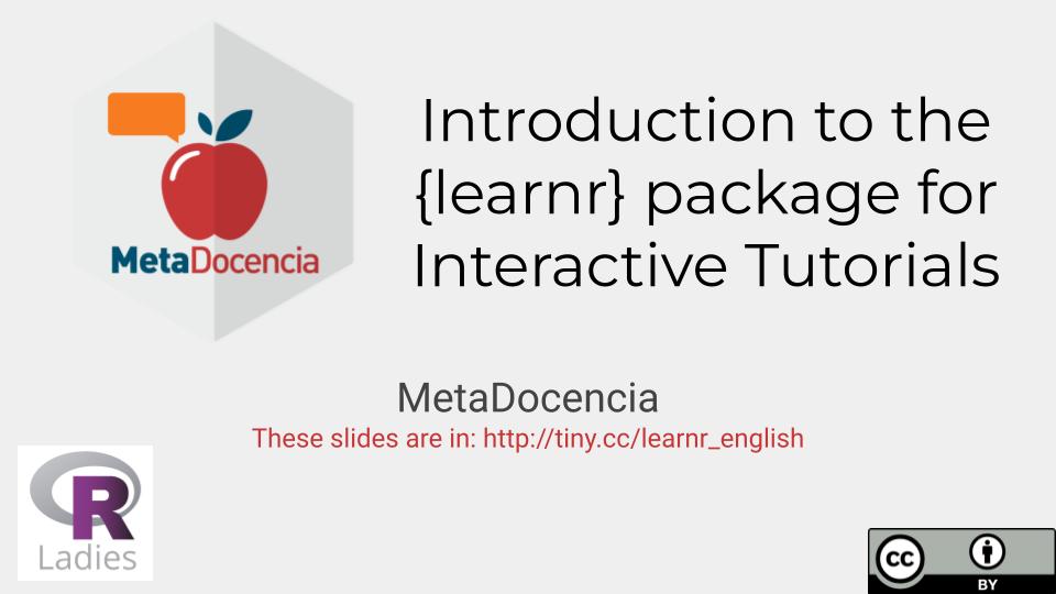 Slide con el hexsticker de MetaDocencia, el logo de R-Ladies y el nombre del curso en inglés.
