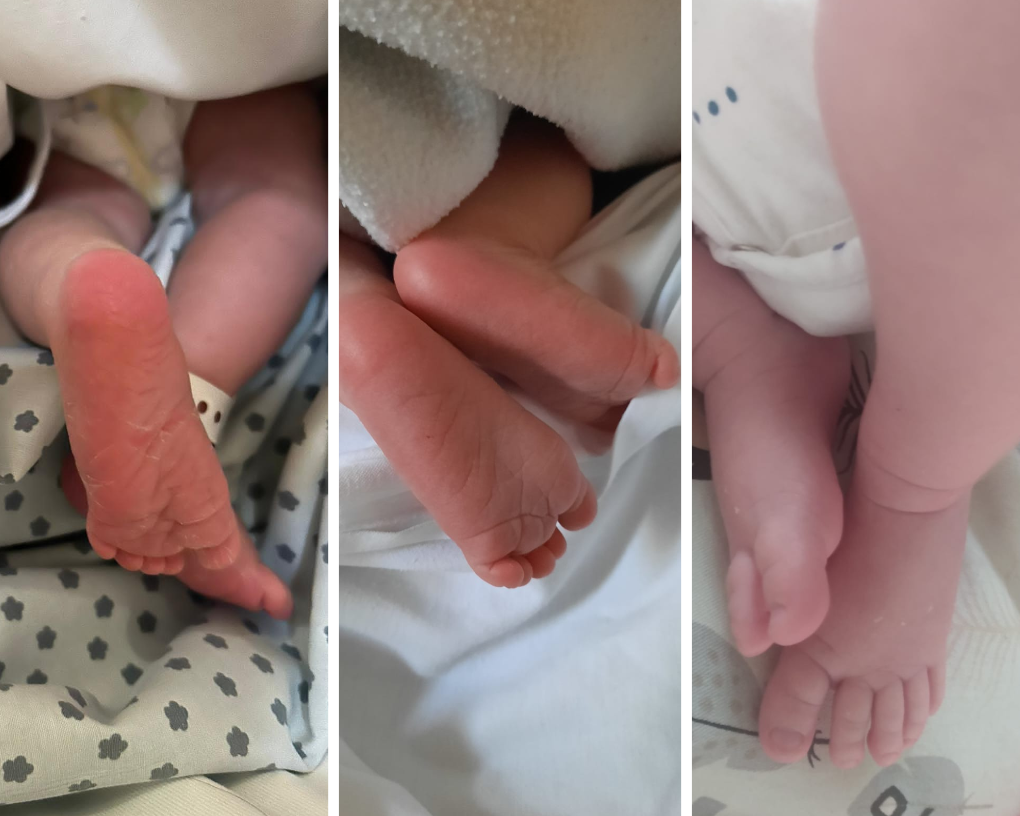 We welcomed 3 babies on the team